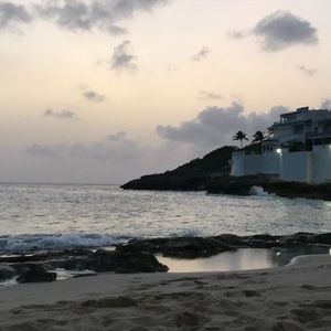 Meet your Posher, Billy